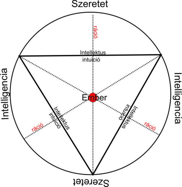 modell-szeretet-intelligencia