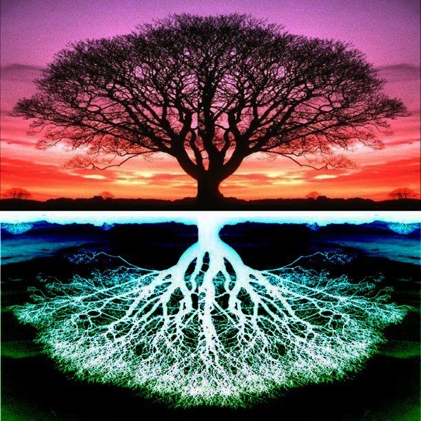 TreeOfLife4